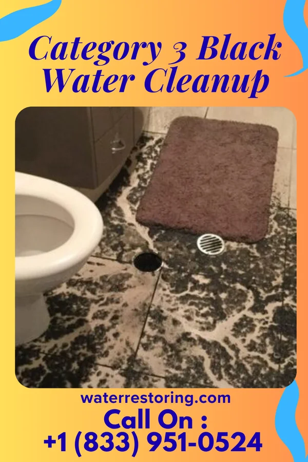 Category 3 Black Water Cleanup in Summerhill, PA