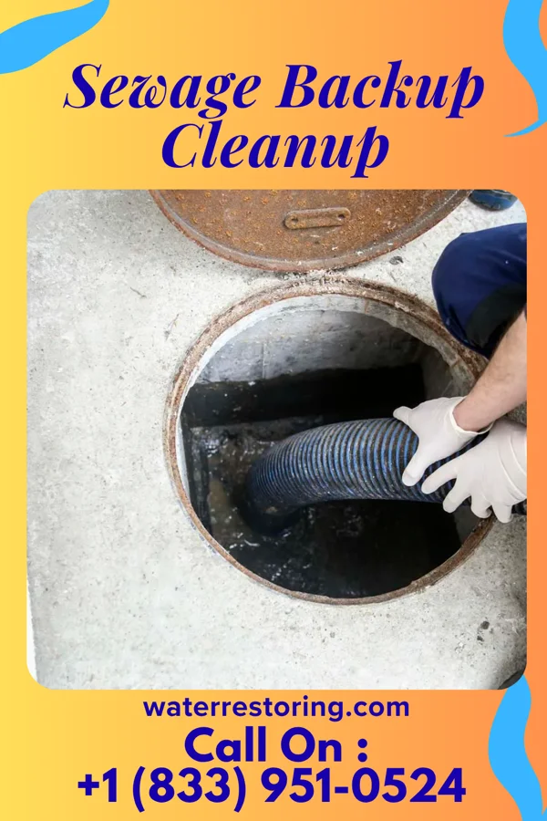 Sewage Backup Cleanup in Summerhill, PA