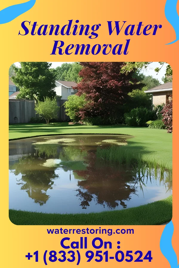 Standing Water Removal in Summerhill, PA